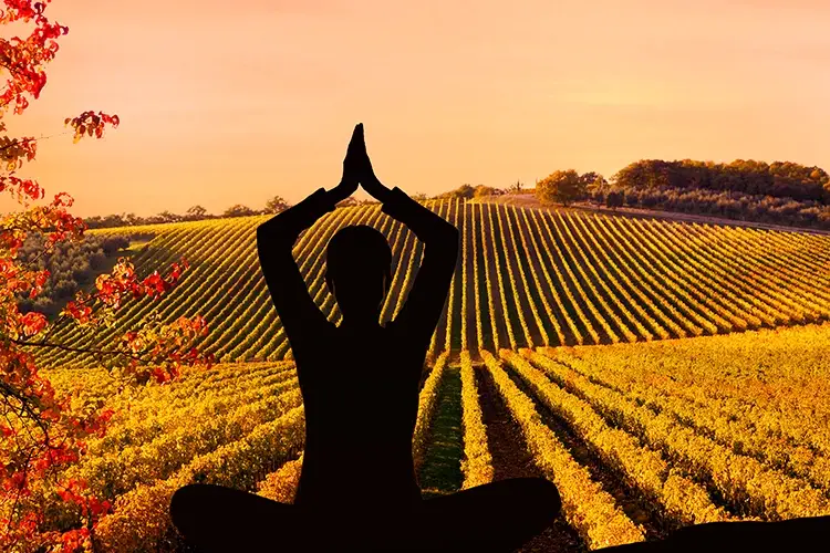 Accordarsi con lo Yoga